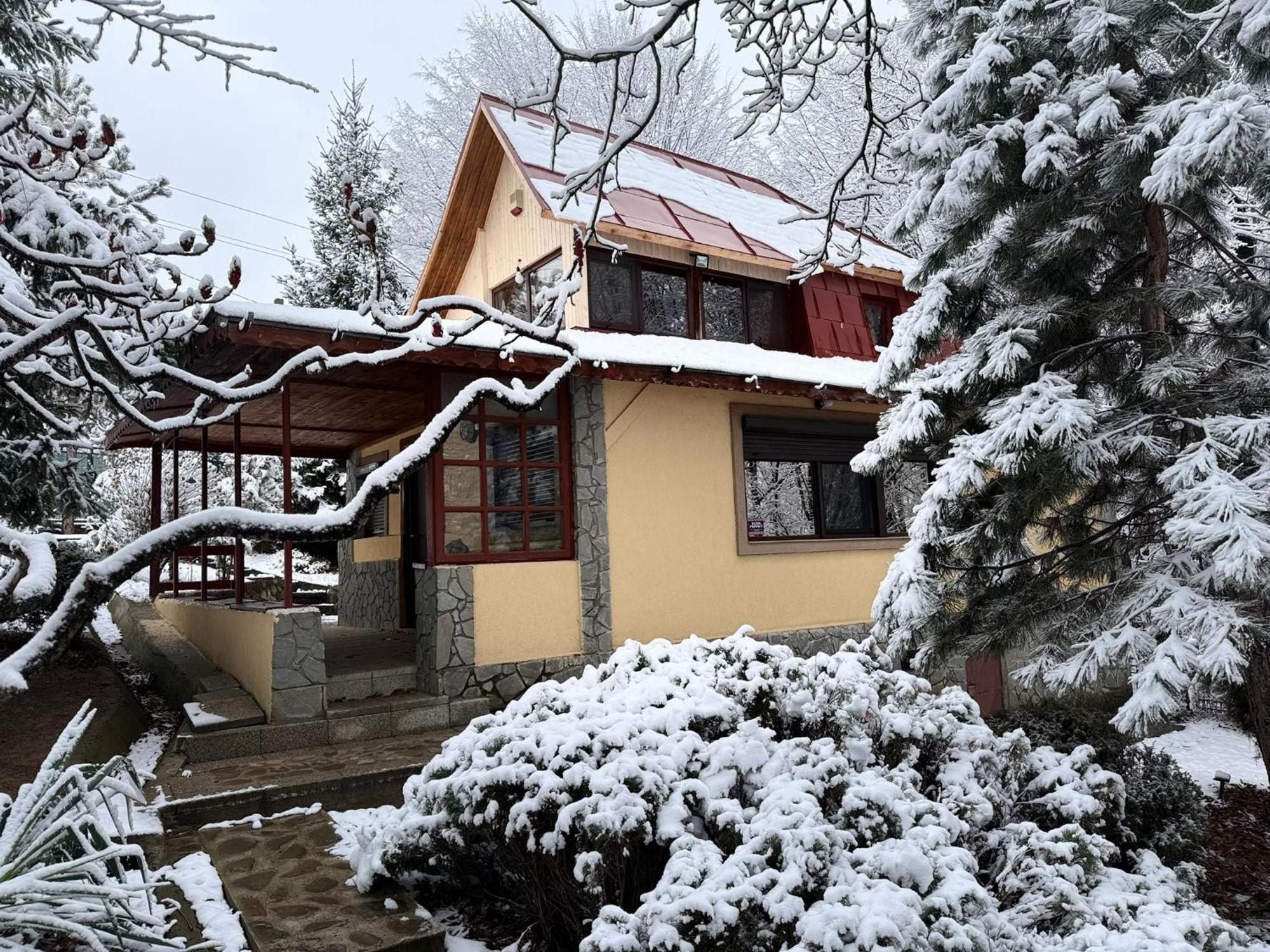 Cabana Din Padurea Valeni Vălenii de Munte Εξωτερικό φωτογραφία