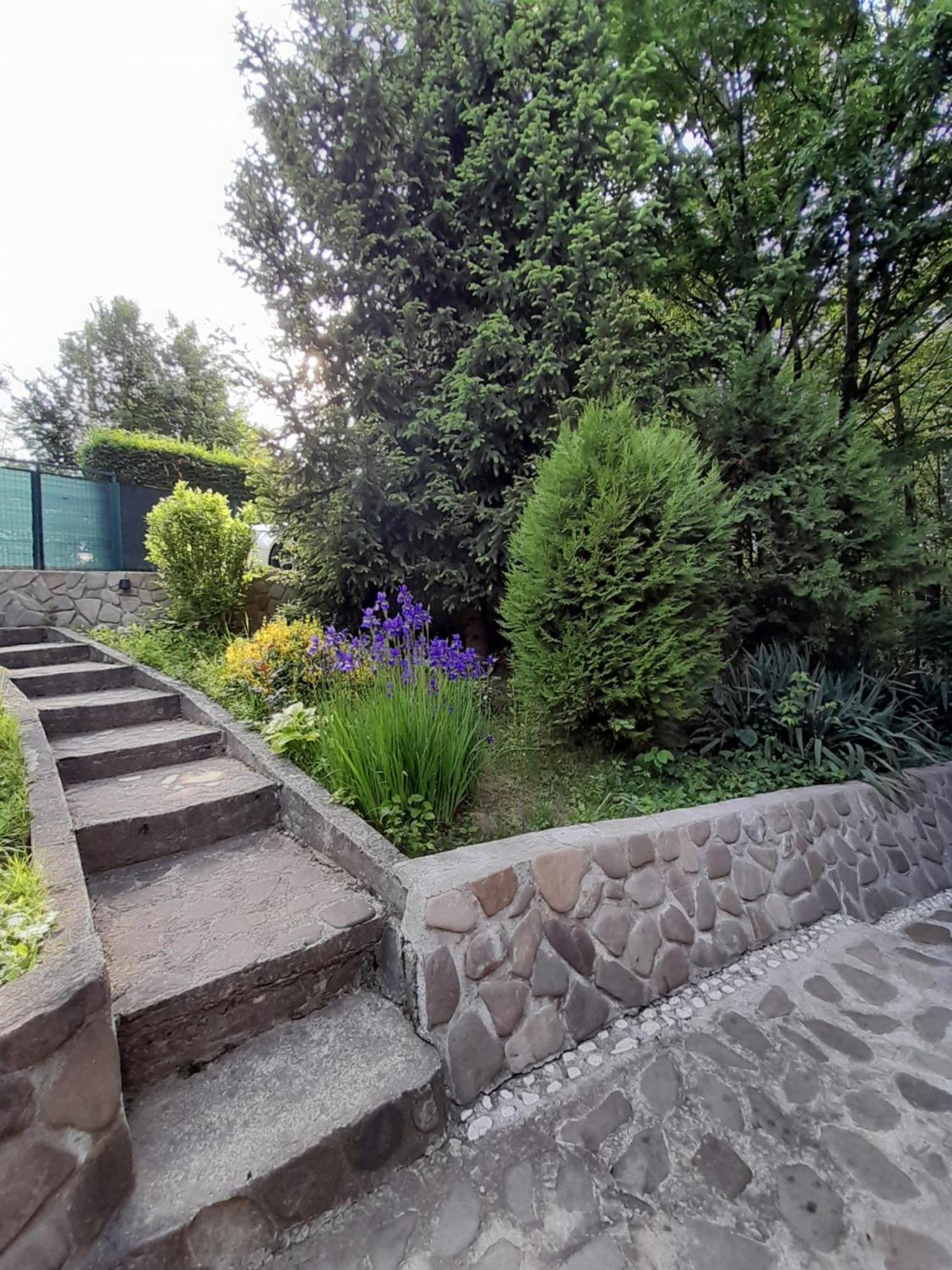 Cabana Din Padurea Valeni Vălenii de Munte Εξωτερικό φωτογραφία