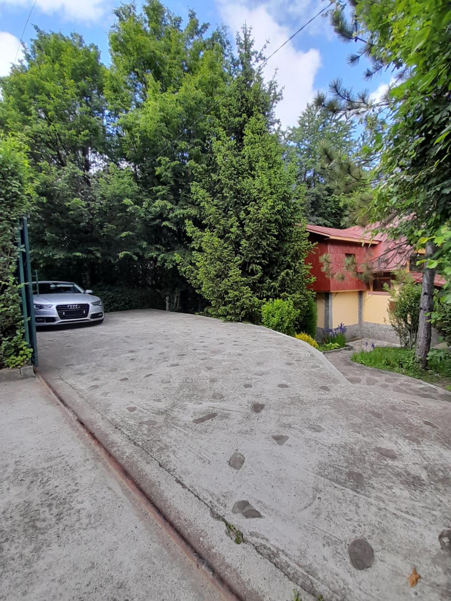 Cabana Din Padurea Valeni Vălenii de Munte Εξωτερικό φωτογραφία