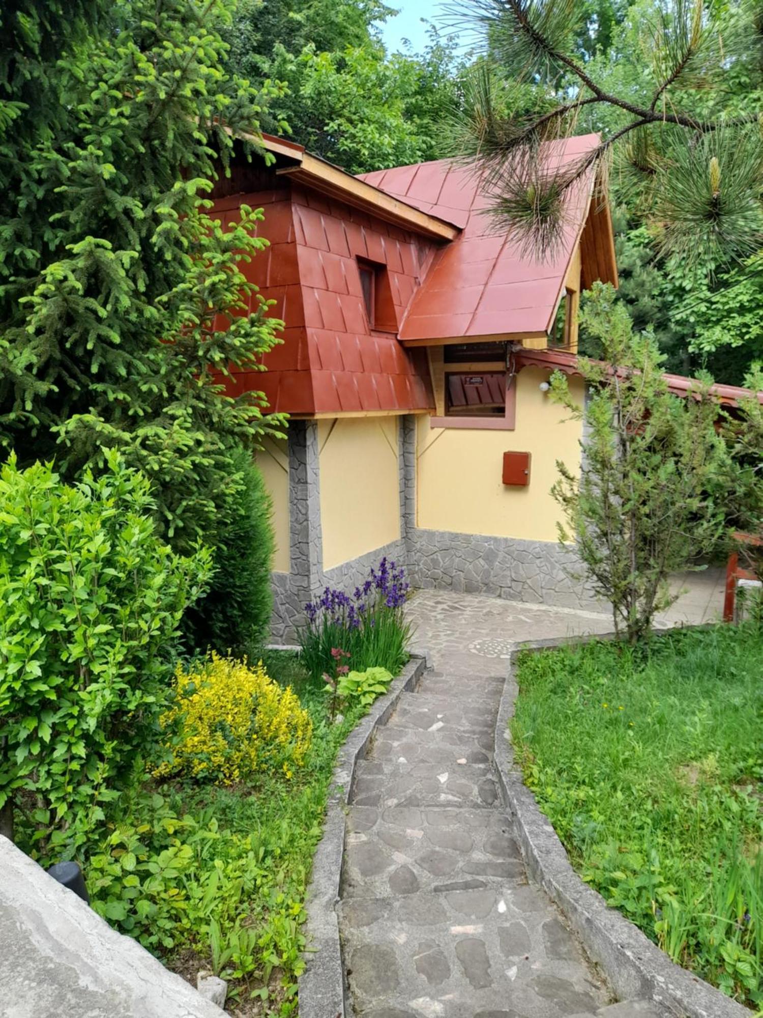 Cabana Din Padurea Valeni Vălenii de Munte Εξωτερικό φωτογραφία
