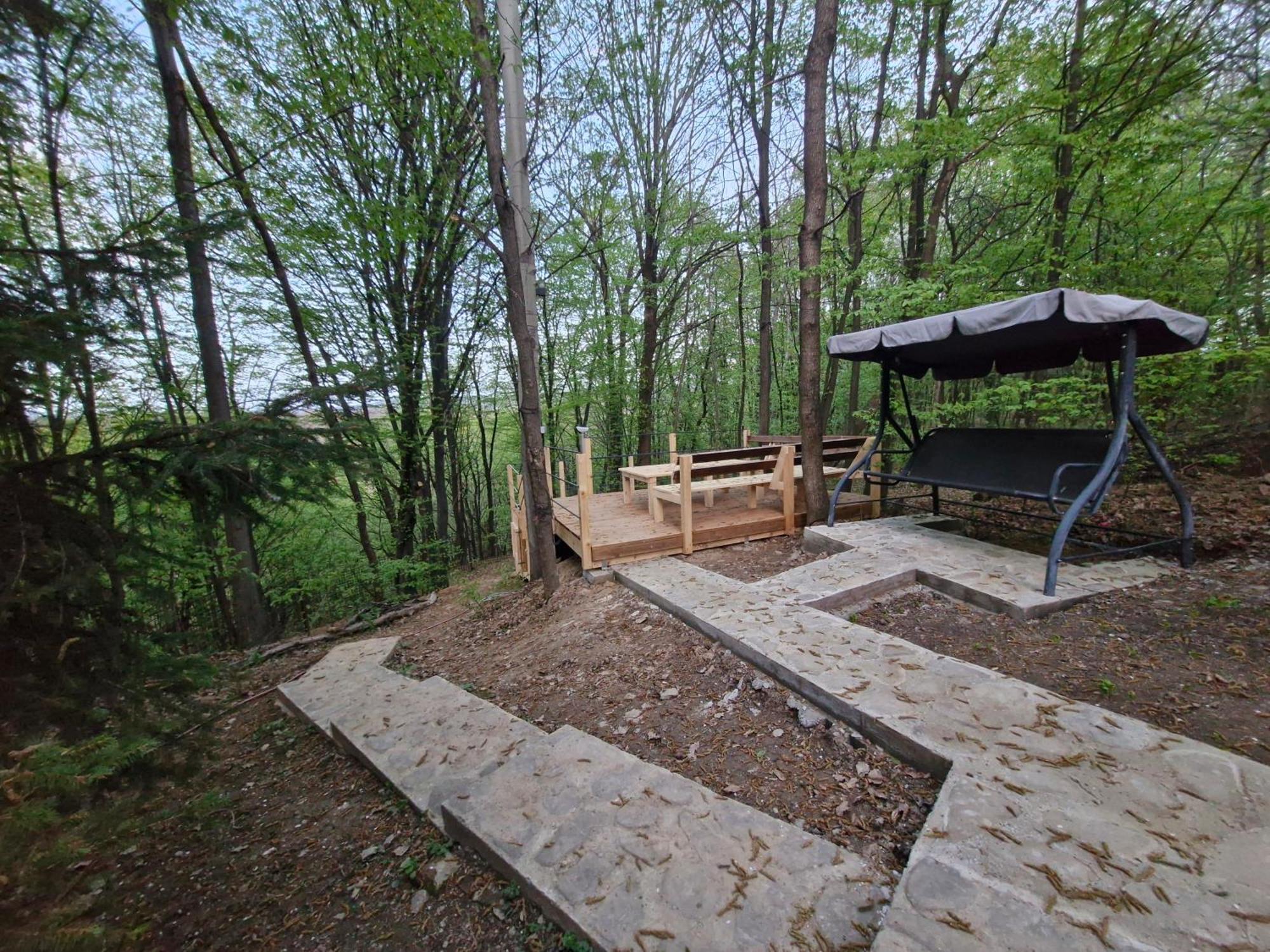 Cabana Din Padurea Valeni Vălenii de Munte Εξωτερικό φωτογραφία